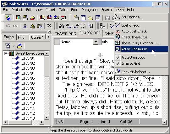 Software that writes essay